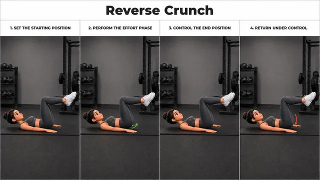 Reverse Crunch exercise guide showing 4 movement steps