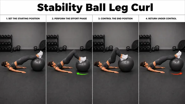 Stability Ball Leg Curl exercise image showing key movement positions with stability ball